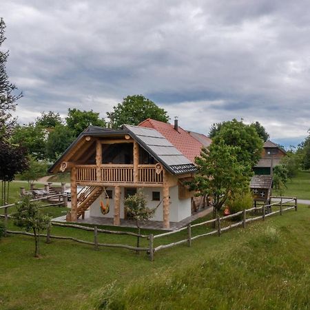 Holiday Home Virida, App Leopold III Ivancna Gorica Buitenkant foto