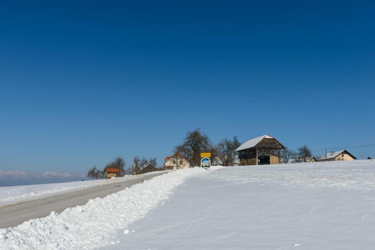 Holiday Home Virida, App Leopold III Ivancna Gorica Buitenkant foto